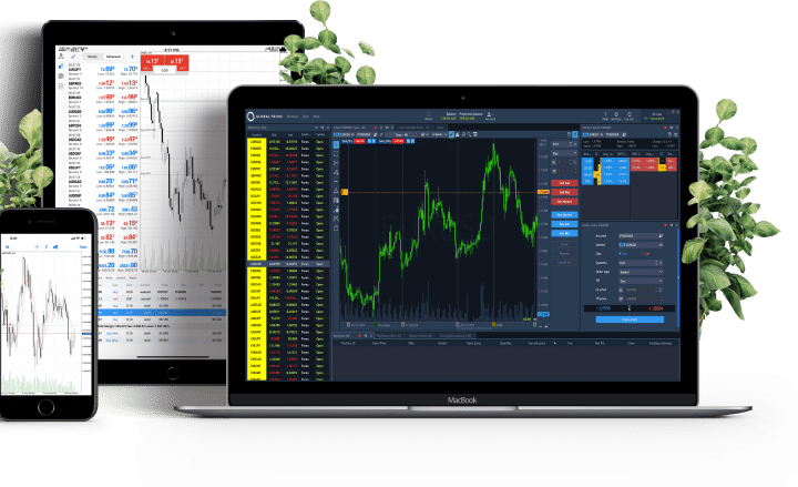 Signal Provider Trading Technology